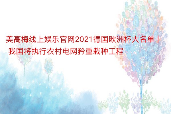 美高梅线上娱乐官网2021德国欧洲杯大名单 | 我国将执行农村电网矜重栽种工程