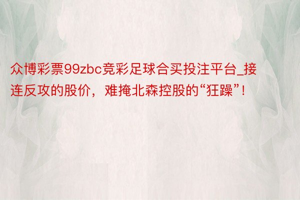 众博彩票99zbc竞彩足球合买投注平台_接连反攻的股价，难掩北森控股的“狂躁”！